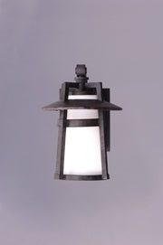 Calistoga 12" 1 Light Outdoor Wall Lantern in Adobe