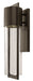 Shelter LED Wall Mount in Buckeye Bronze