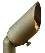 Hardy Island Small Accent Spot Light in Matte Bronze