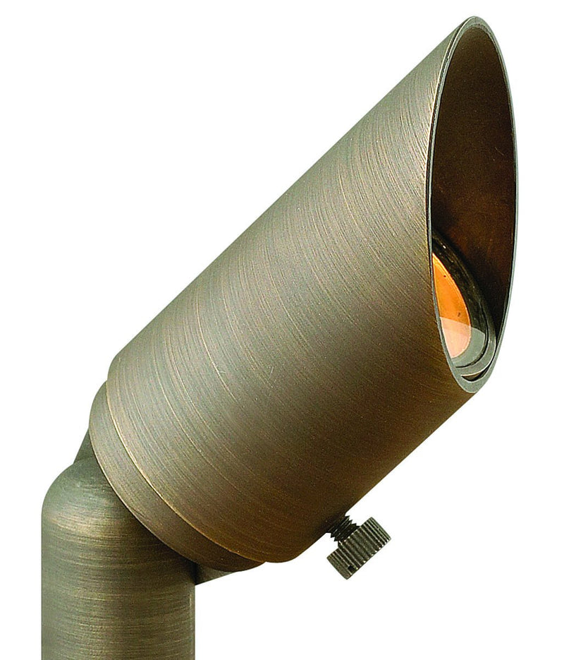 Hardy Island Small Accent Spot Light in Matte Bronze