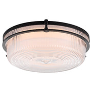 Emory 14" LED Ceiling Mount in Matte Black