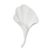 Nolita Wall Sconce in Gesso White