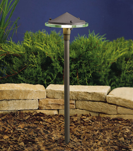 Path and Spread Light with Clear Glass in Textured Architectural Bronze