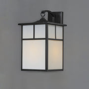 Coldwater 1 Light 12" Outdoor Wall Lantern in Black