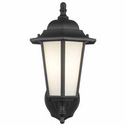 Frosted Glass 14.5" Outdoor Wall Lantern in Black