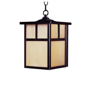 Coldwater 1 Light Outdoor Hanging Lantern in Burnished