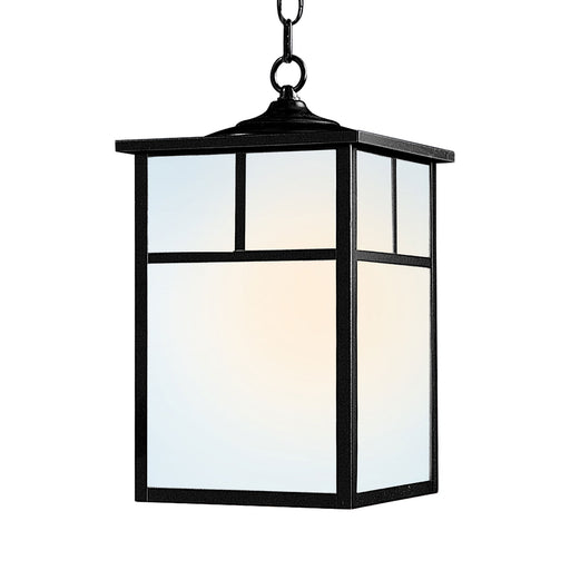 Coldwater 1 Light Outdoor Hanging Lantern in Black