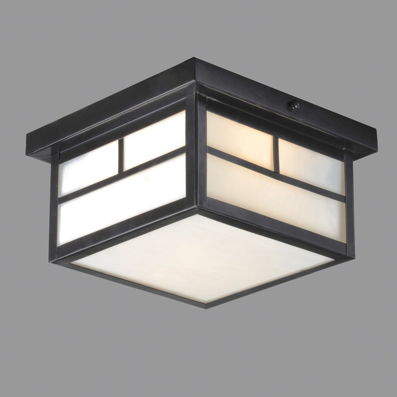 Coldwater 2 Light Outdoor Flush Mount in Black