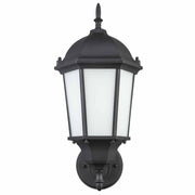 San Rafael 16.5" Outdoor Wall Lantern in Black / Frosted