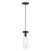 Devoe Mini Pendant in Black with Brushed Nickel Accents