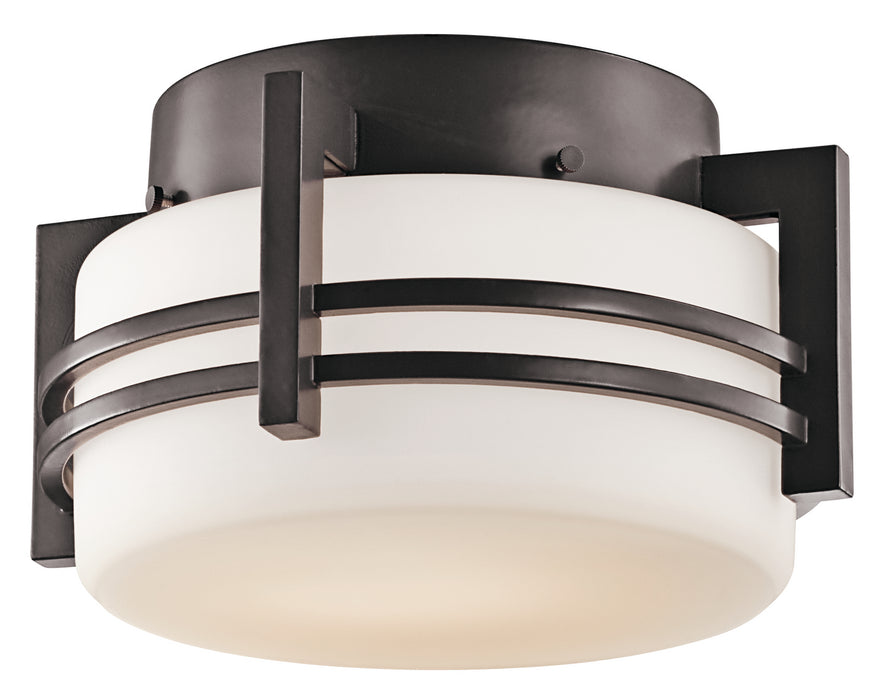 Pacific Edge Outdoor Ceiling Light 1-Light in Architectural Bronze