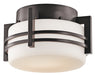 Pacific Edge Outdoor Ceiling Light 1-Light in Architectural Bronze