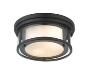 Willow 2 Light 12" Flush Mount in Matte Black