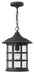 Freeport Large Hanging Lantern - Lamps Expo