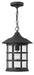 Freeport Large Hanging Lantern - Lamps Expo