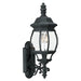 Wynfield Two Light Outdoor Wall Lantern in Black