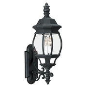 Wynfield 2-Light Outdoor Wall Lantern in Black