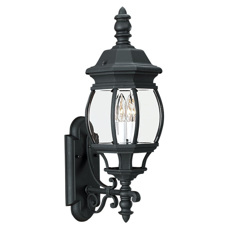 Wynfield 2-Light Outdoor Wall Lantern in Black