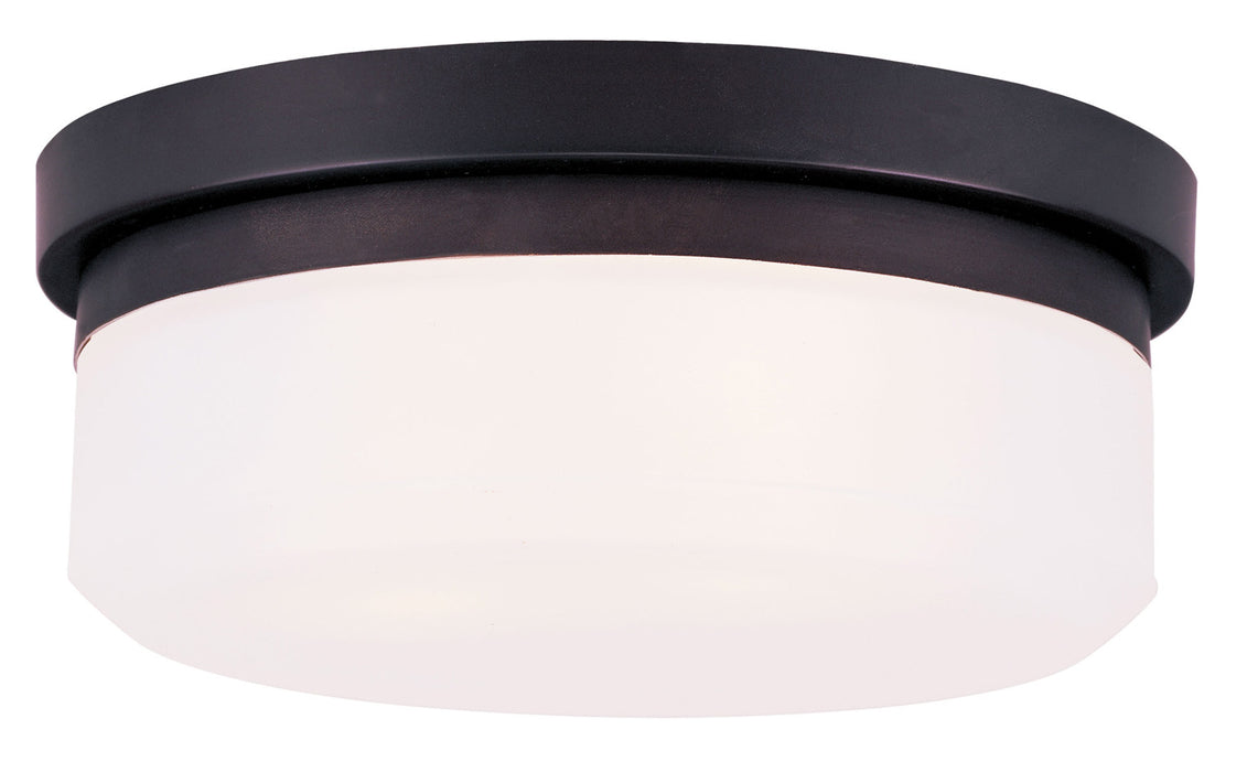 Stratus 2-Light Ceiling Mount or Wall Mount - Lamps Expo
