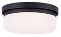 Stratus 2-Light Ceiling Mount or Wall Mount - Lamps Expo