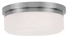 Stratus 2-Light Ceiling Mount or Wall Mount - Lamps Expo
