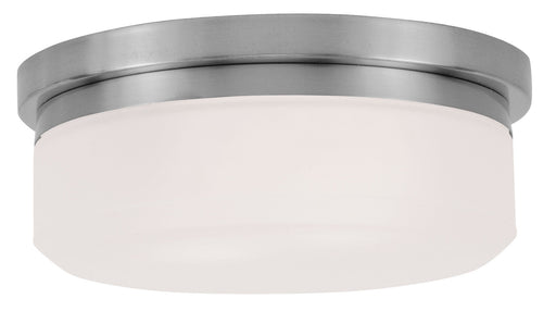 Stratus 2-Light Ceiling Mount or Wall Mount - Lamps Expo