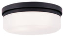 Stratus 2 Light Ceiling Mount or Wall Mount in Bronze