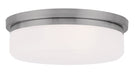 Stratus 2 Light Ceiling Mount or Wall Mount in Brushed Nickel