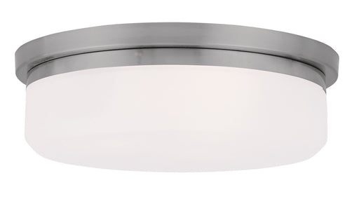 Stratus 2 Light Ceiling Mount or Wall Mount in Brushed Nickel