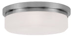 Stratus 3 Light Ceiling Mount or Wall Mount in Brushed Nickel
