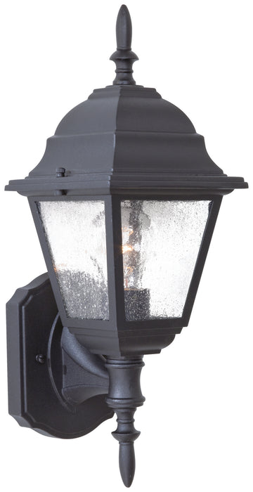 Bay Hill 1 Outdoor-Light Wall Mount in Coal & Clear Seeded Glass