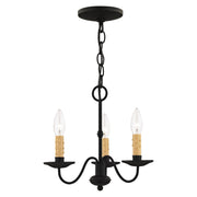Heritage 3-Light 12.5" Mini Chandelier in Black
