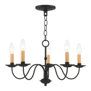 Heritage 5-Light 20" Chandelier (11.5" High) in Black