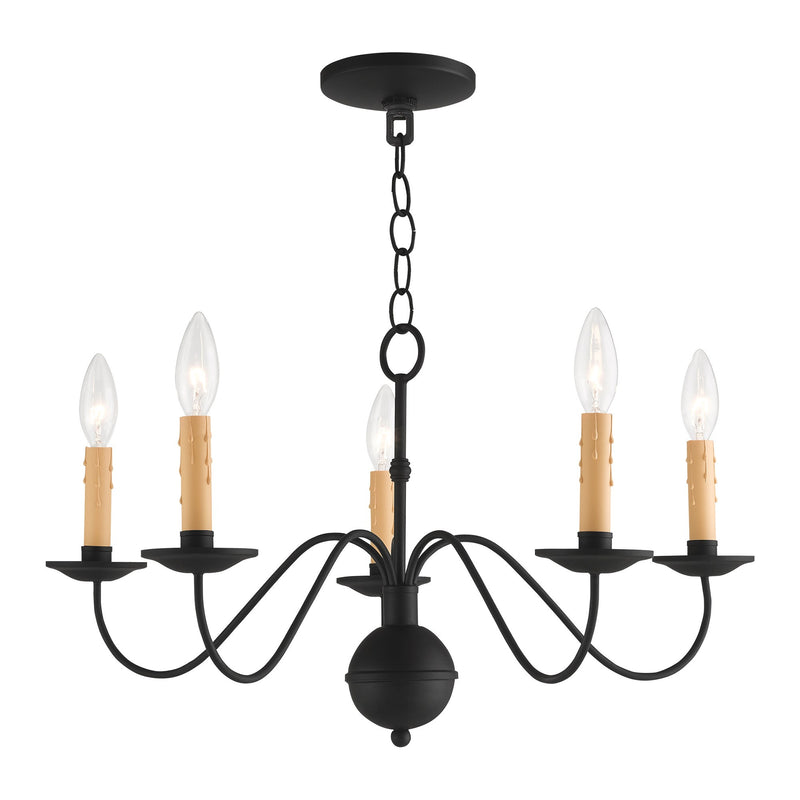 Heritage 5-Light 24" Chandelier in Black