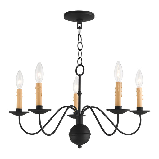 Heritage 5-Light 24" Chandelier in Black