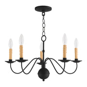Heritage 5-Light 24" Chandelier in Black