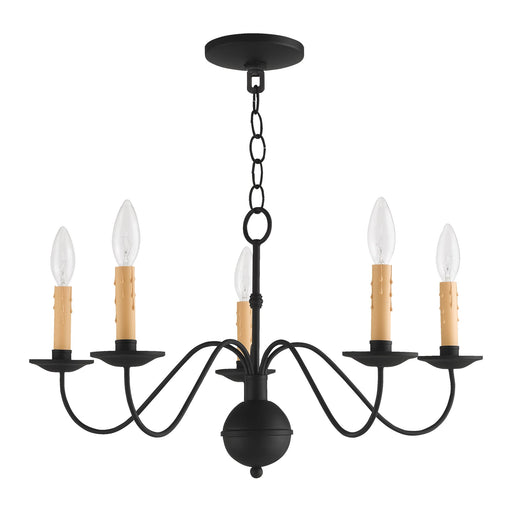 Heritage 5-Light 24" Chandelier in Black