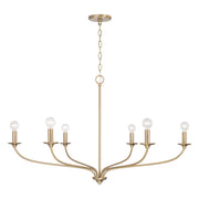 Dolan 6-Light Chandelier in Matte Brass