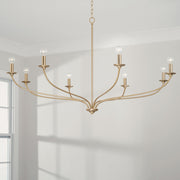 Dolan 8-Light Chandelier in Matte Brass