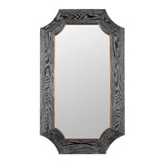 Farra 26" x 44" Rectangular Wall Mirror in Cerused Black/Weathered Brass