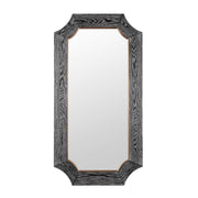 Farra 28" x 54" Rectangular Wall Mirror in Cerused Black/Weathered Brass