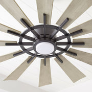 Cirque 60" 12-Blade LED Ceiling Fan in Matte Black