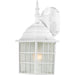 Adams 1-Light 14" Outoor Wall in White