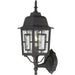 Banyan 1-Light 17" Outdoor Wall in Textured Black