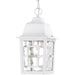 Banyan 1-Light Outdoor Hanging in White