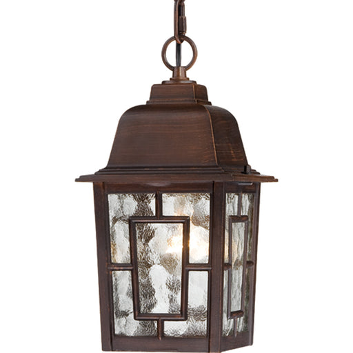 Banyan 1-Light Outdoor Hanging in Rustic Bronze