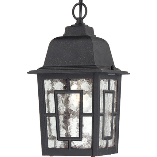 Banyan 1-Light Outdoor Hanging in Textured Black
