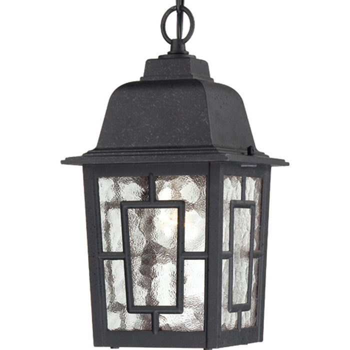 Banyan 1-Light Outdoor Hanging in Textured Black