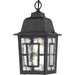 Banyan 1-Light Outdoor Hanging in Textured Black
