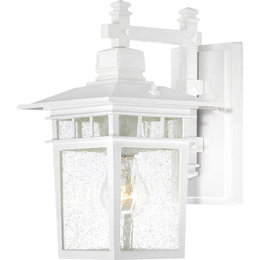 Cove Neck 1-Light Outdoor Wall in White
